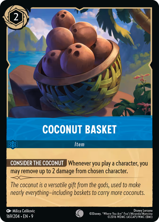 Coconut Basket