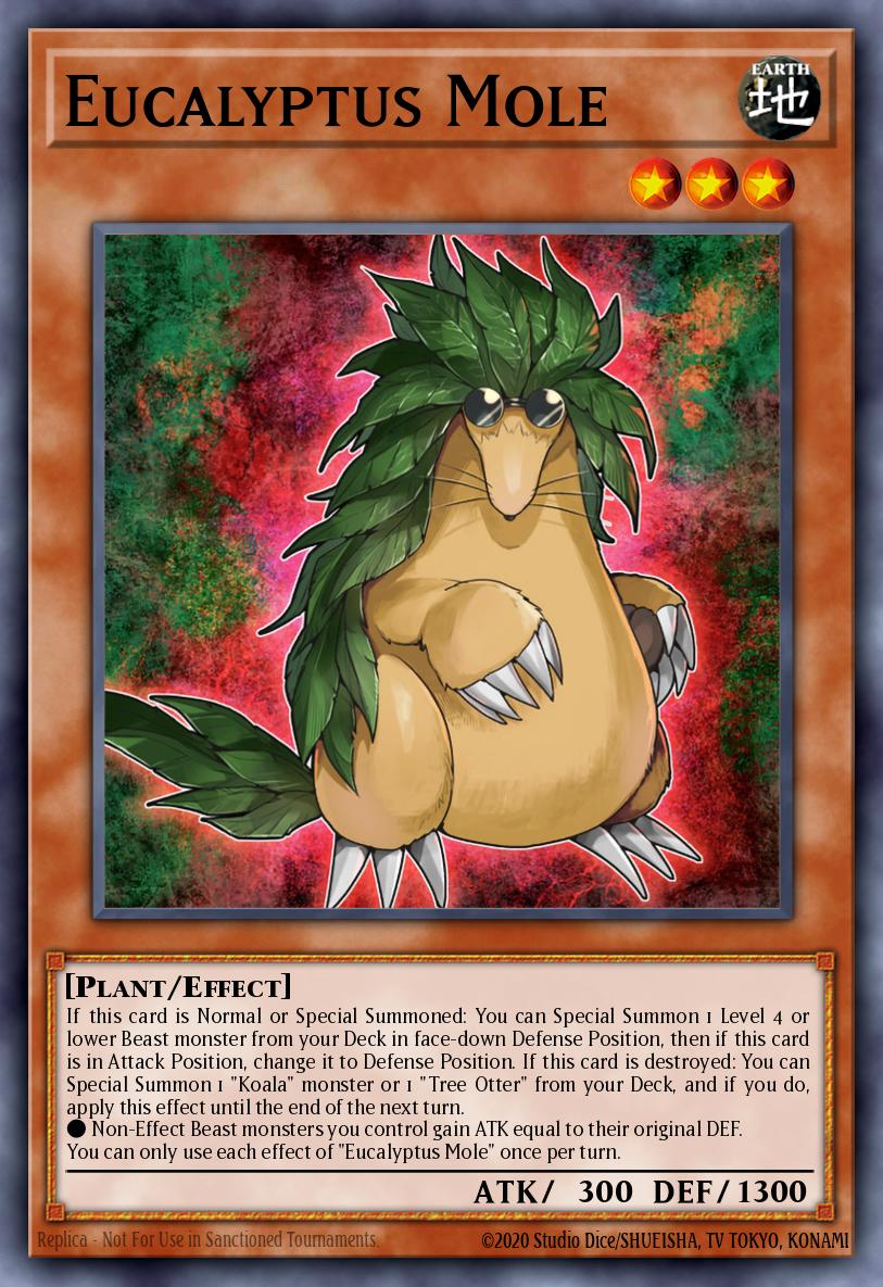 Eucalyptus Mole